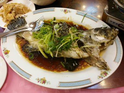 ปลาเก๋า