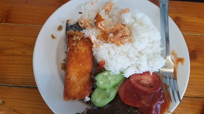 ข้าวปลาแซม่อนทอด