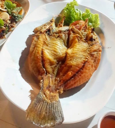 ปลากระพงฉ่าน้ำปลา