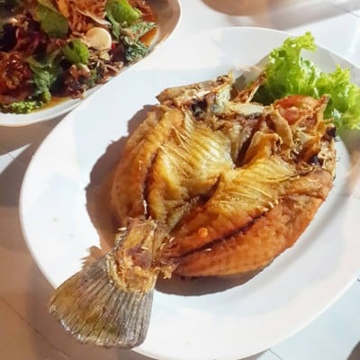 ปลากระพงฉ่าน้ำปลา