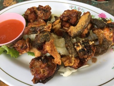 กบทอด