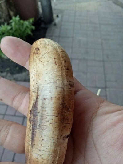 กล้วยปิ้งโชคดี (Choke Dee Grilled Bananas) กล้วยปิ้งโชคดี (Choke Dee Grilled Bananas)
