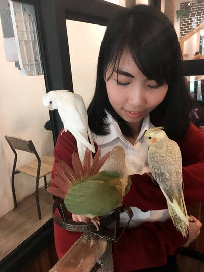 อื่นๆ