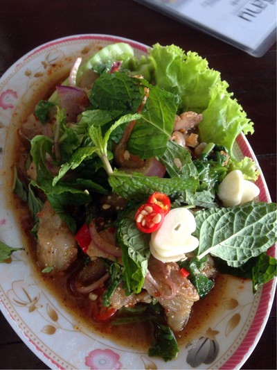 น้ำตกคอหมูย่าง