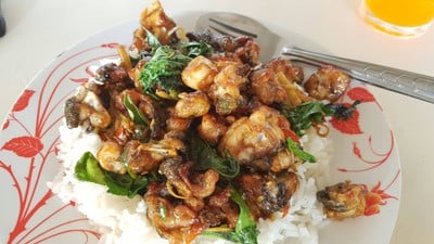 เรียมอาหารป่า