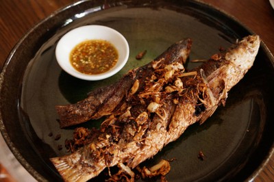 เมนูของร้าน Pinto By Chak