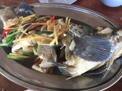 ปลาสดเนื้อหวาน