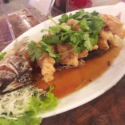 ปลากระพงสามมะ