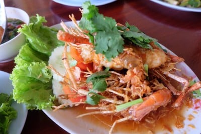 ต้อมแควป่าสัก