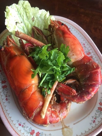 แพอารยา