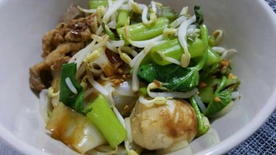 ก๋วยเตี๋ยวเส้นใหญ่ลูกชิ้นหมู