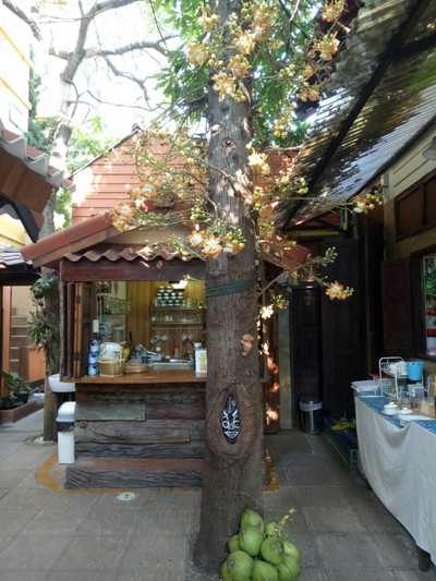บรรยากาศ