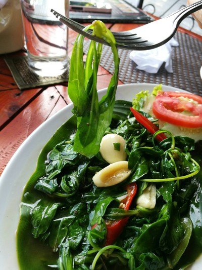 ผักลิ้นห่านผัดน้ำมันหอย