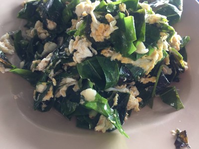 ผักเหรียงผัดไข่