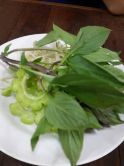 มาให้ฟรี