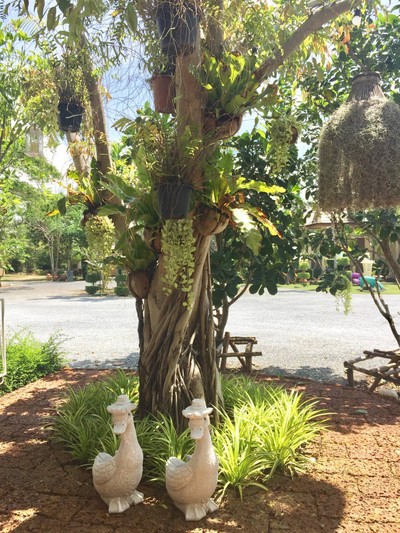 บรรยากาศ