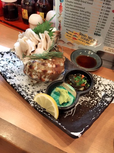 หอยซาซาเอะหรือหอยสังข์ญี่ปุ่น