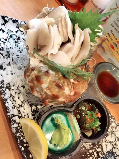 หอยซาซาเอะหรือหอยสังข์ญี่ปุ่น