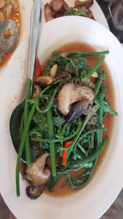 ผัดฟักแม้ว