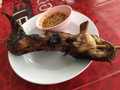 ปลาดุกย่าง