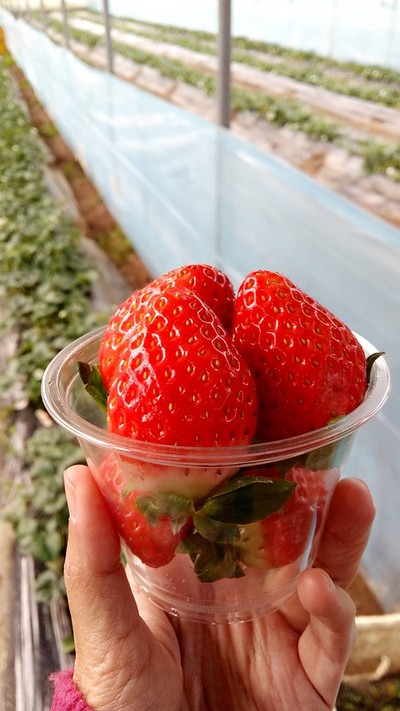 Strawberries
