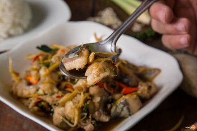 ผัดฉ่าปลาคัง