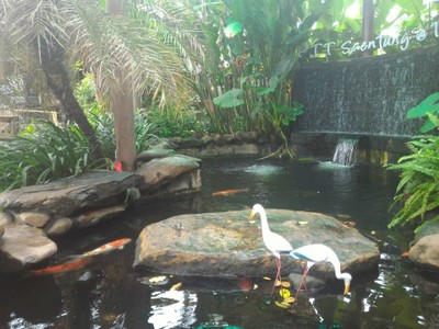 บรรยากาศ