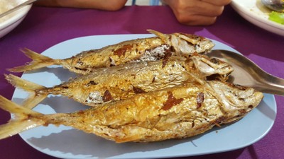 ปลายัดไส้