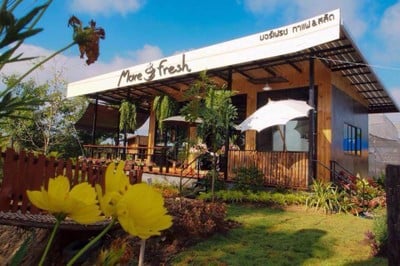 More Fresh Coffee & Salads (มอร์เฟรช กาแฟ&สลัด) More Fresh Coffee & Salads (มอร์เฟรช กาแฟ&สลัด)