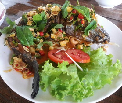 ปลาช่อนลุยสวน