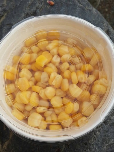 สลัดคอน