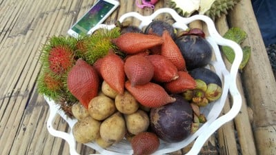 สวนลุงทองใบ