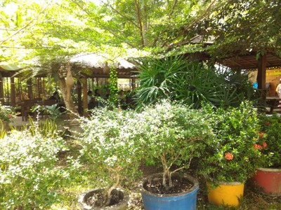 บรรยากาศ