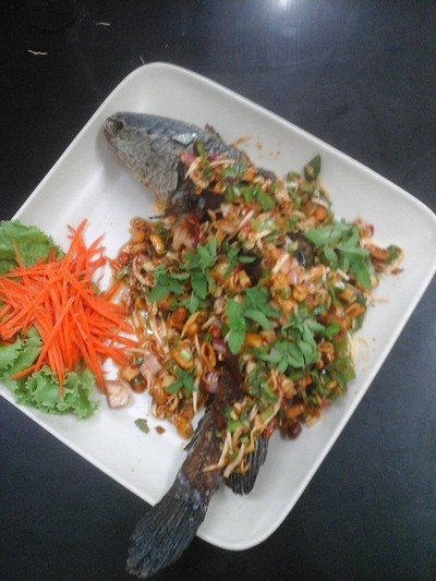 ปลาช่อนรุยสวน