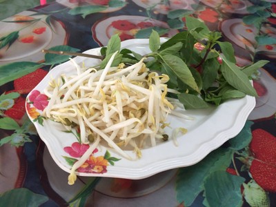 ผักเคียง