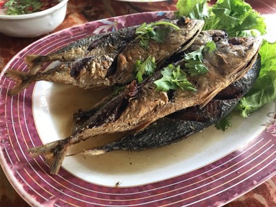 ปลาทูทอดน้ำปลา