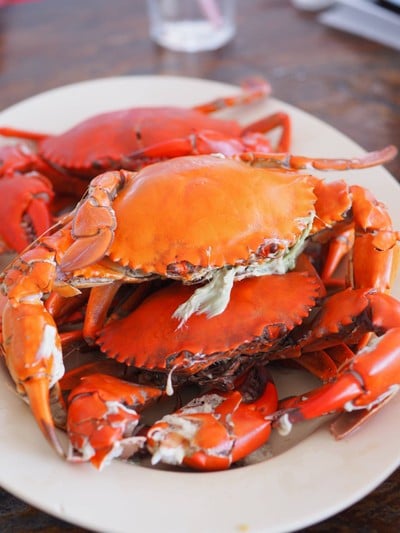 ลุย ชุมพร