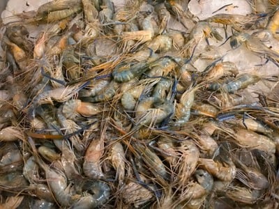 นายยก หมูกะทะ สามกอง