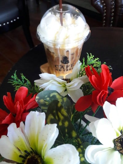 มัคคิอาโต้