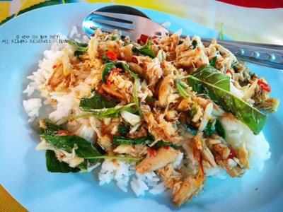 กระเพราปู