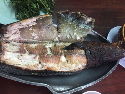 ปลาช่อนเผา สะเดาน้ำปลาหวาน