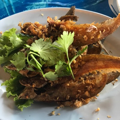 ปลาเนื้ออ่อนทอดกระเทียม