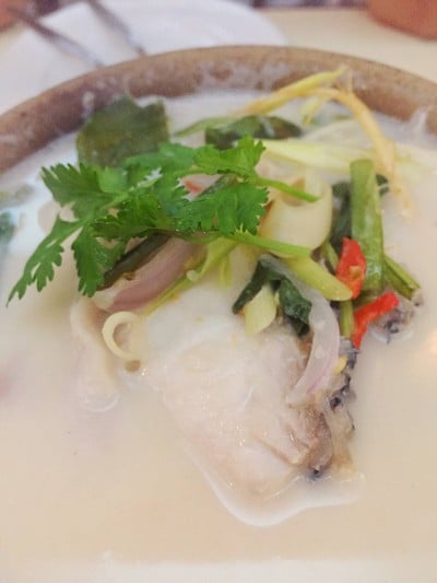 ต้มข่าเนื้อปลากระพงเผือกหอม 195฿