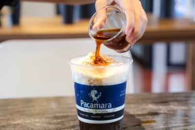 Pacamara coffee Roaster X Specialty Coffee lab Thonglor 25 Pacamara coffee Roaster X Specialty Coffee lab Thonglor 25