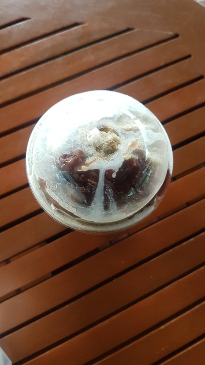อาหาร หรือ เครื่องดื่ม