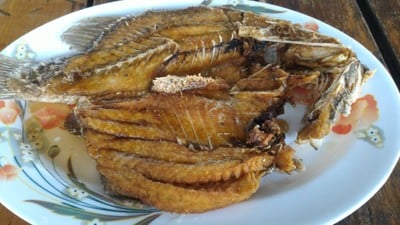 กะพงทอดน้ำปลา