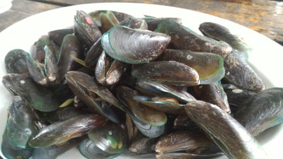 หอยแมลงภู่อบ