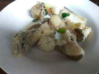 ปลาคัง
