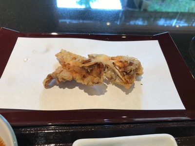 เห็ดนางฟ้า