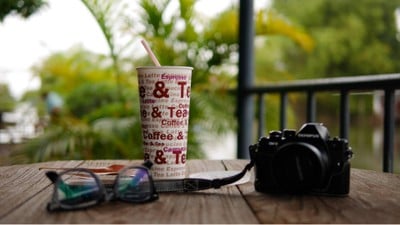 กาแฟกับต้นไม้